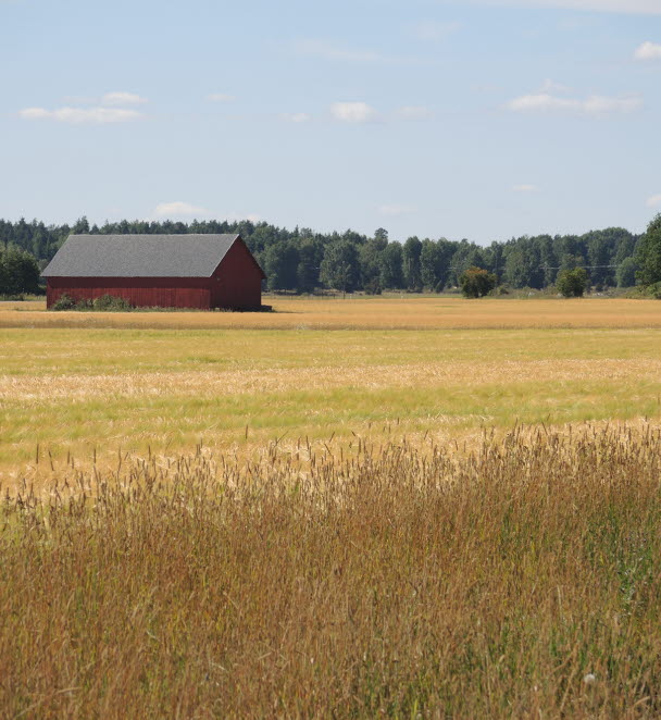 Odlingslandskap