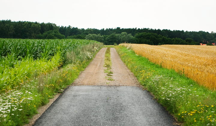 Grusväg mellan åkrar