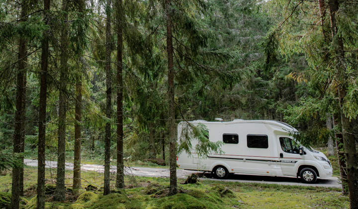 Husbil i skogen