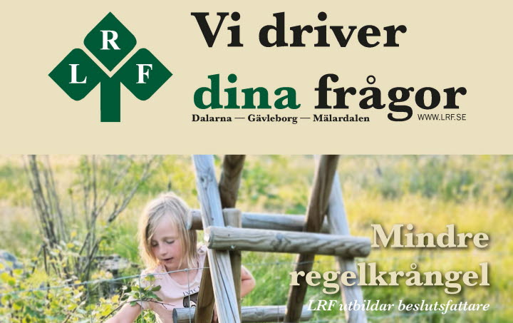 Framsida Medlemstidning