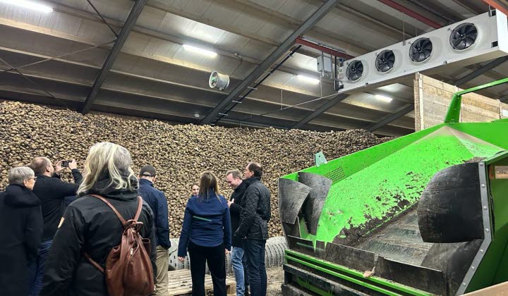 potatislager i Holland
