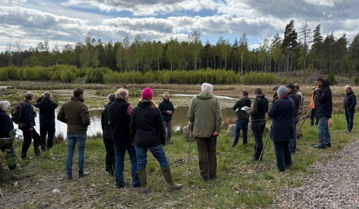 Regionala skogsstrategin Sörmland maj 2025
