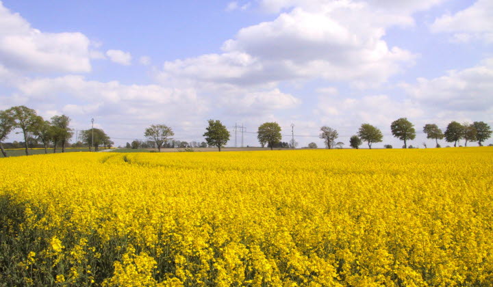 Värdera jordbruksmarken ur ett beredskapsperspektiv! - Lantbrukarnas ...