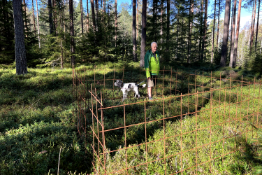 Referensbur i skog