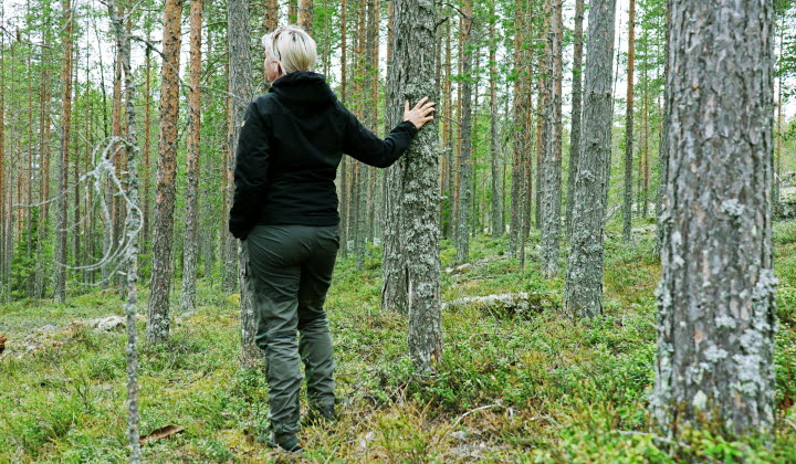 Kvinna i skog