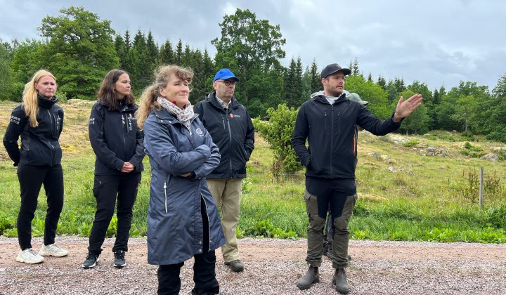 Viktor Jonsson visar landshövdingen och medarbetarna vad restaureing av naturbetsmarker innebär.