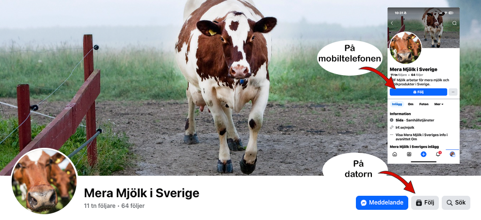 Följ Mera mjölk i Sverige på Facebook