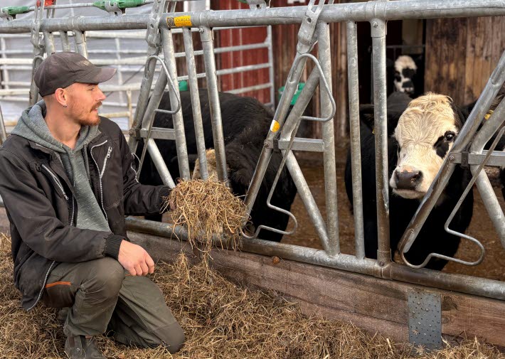 Simon Persson Årets nötköttsföretagare Dalarna