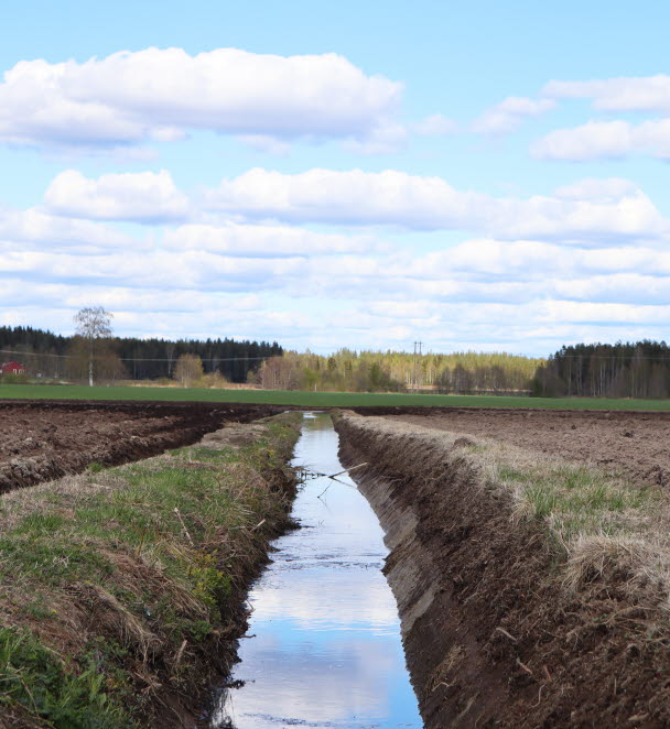 Dike, Kågedalen, Skellefteå