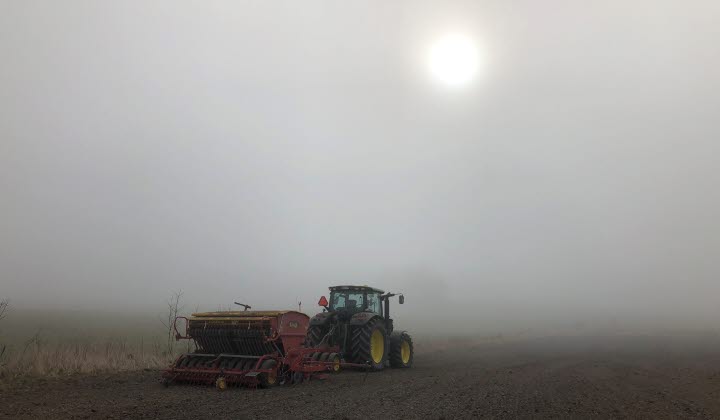 Traktor i dimma och vårsådd