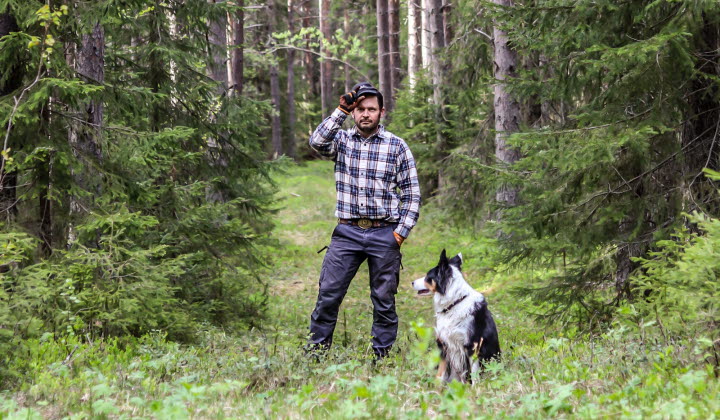 Nils Björid, Mjölk-kött och skogsbonde.