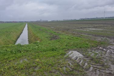 vatten, växtodling, Holland
