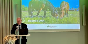 Påverkansarbete