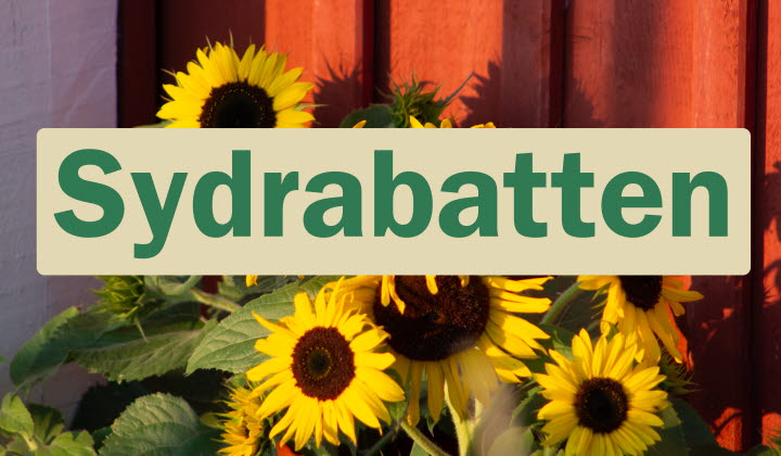 Sydrabatten, med solrosor i bakgrunden
