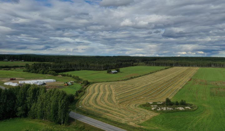 Odlingslandskap i Skellefteåområdet, norra Västerbotten
