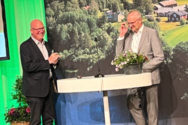 Guldnål, Anders Richardsson, Leregård, Heberg